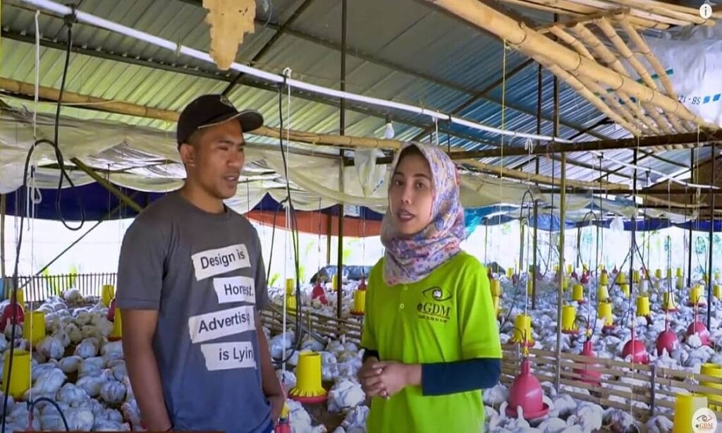 Mercedez Samudra Unggas: Solusi Unggas Terbaik untuk Warga Cilacap